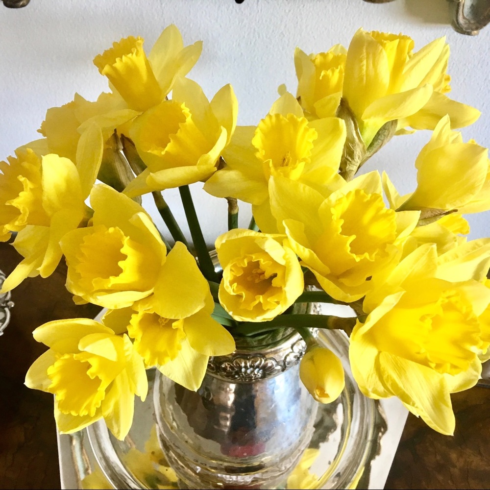 Meet your Posher, Cristina